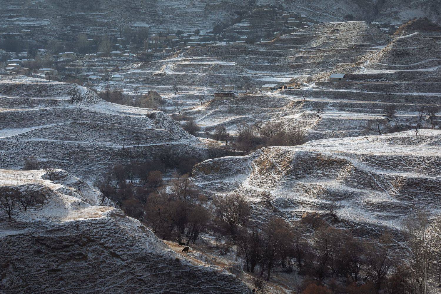 , Александр Писарев