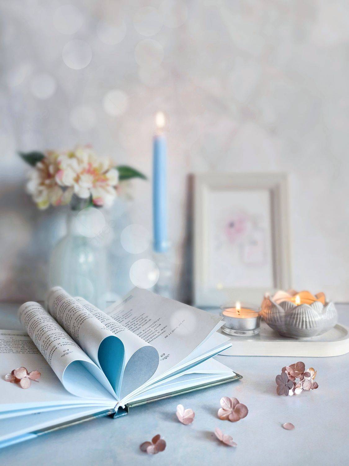 , Дина Полухина