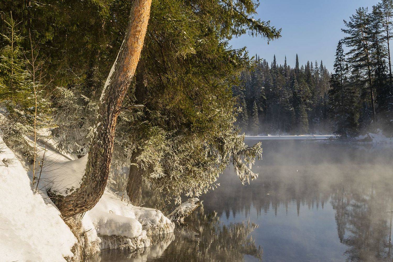 , Галина Луценко
