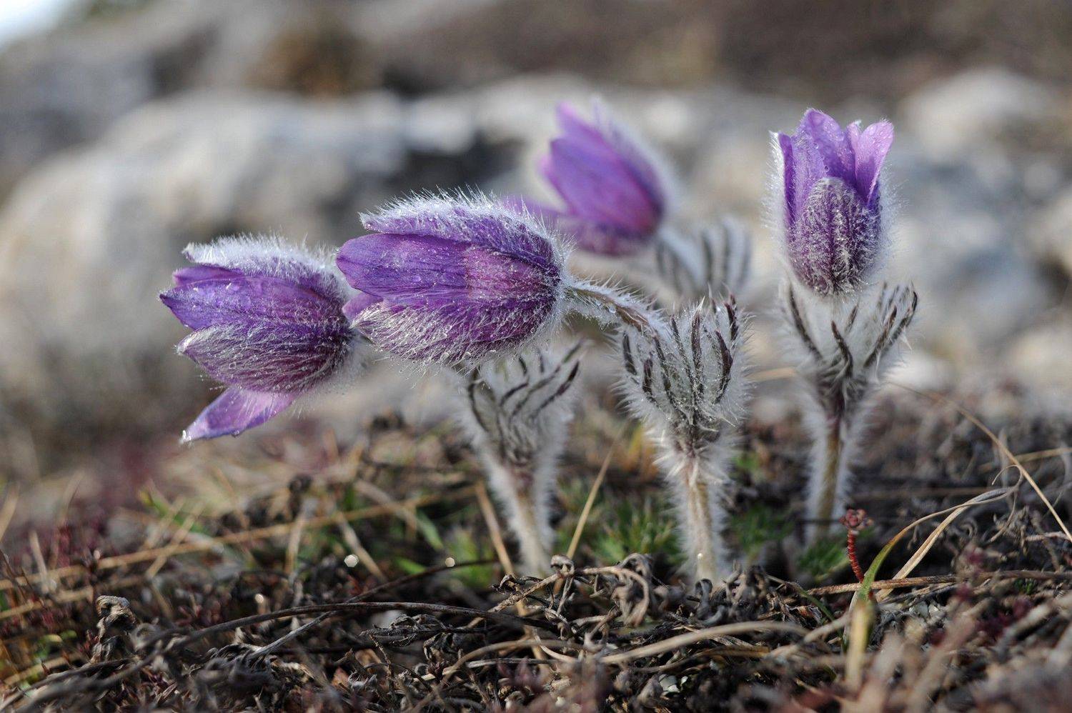 , Дарья Васильева