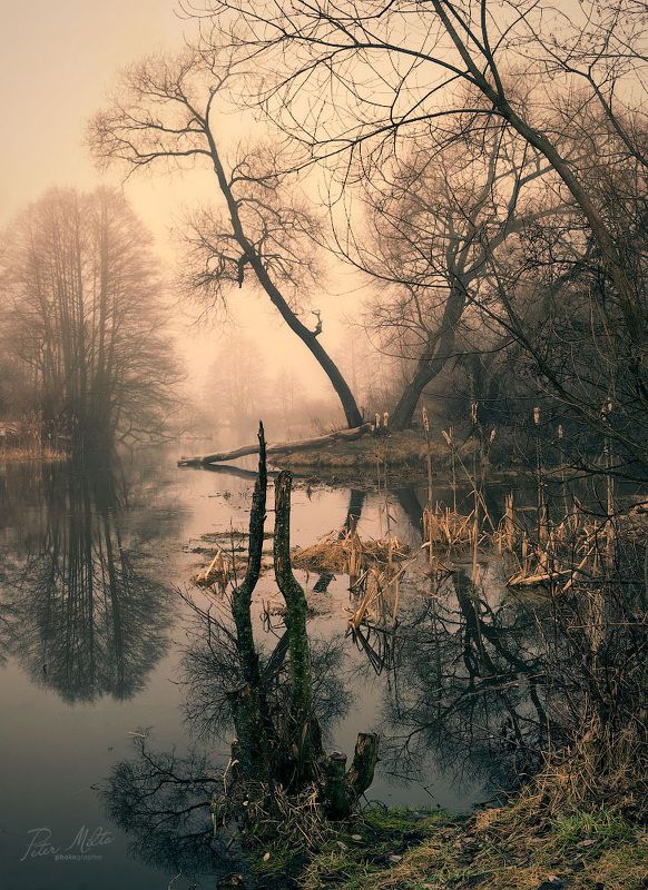 sleepy hollow Возвращение в Сонную Лощину фото превью