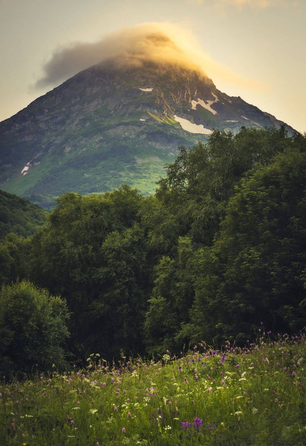 , Антон Литвин