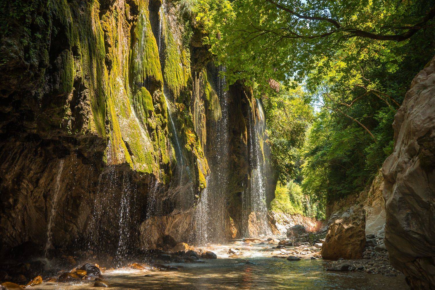 , Максимова Дария