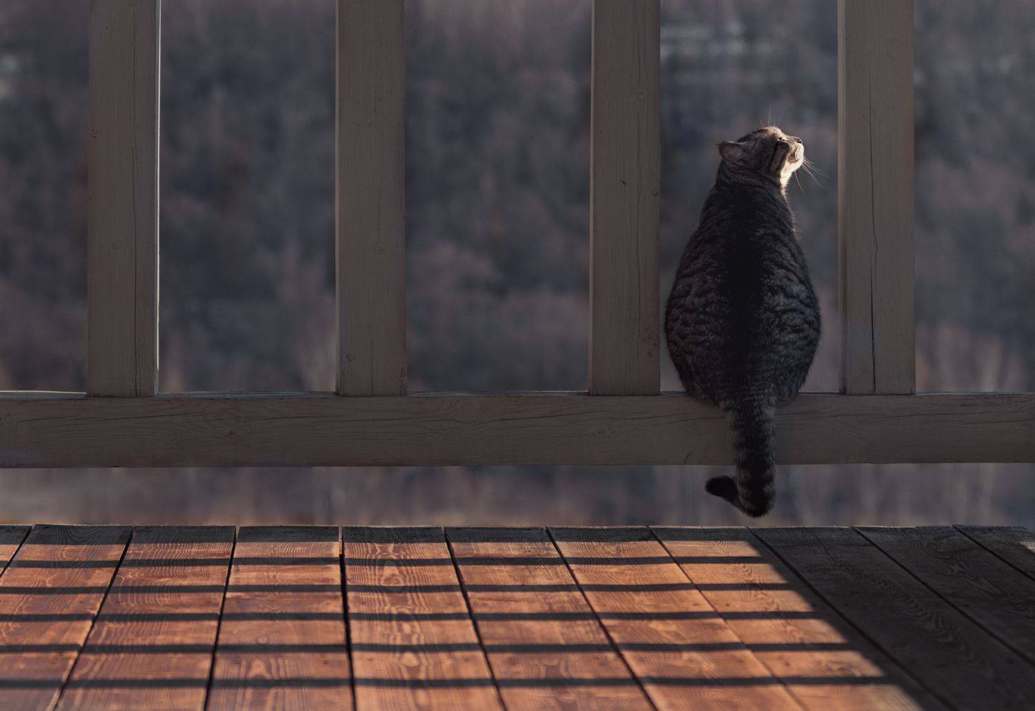 , Баранов Олег