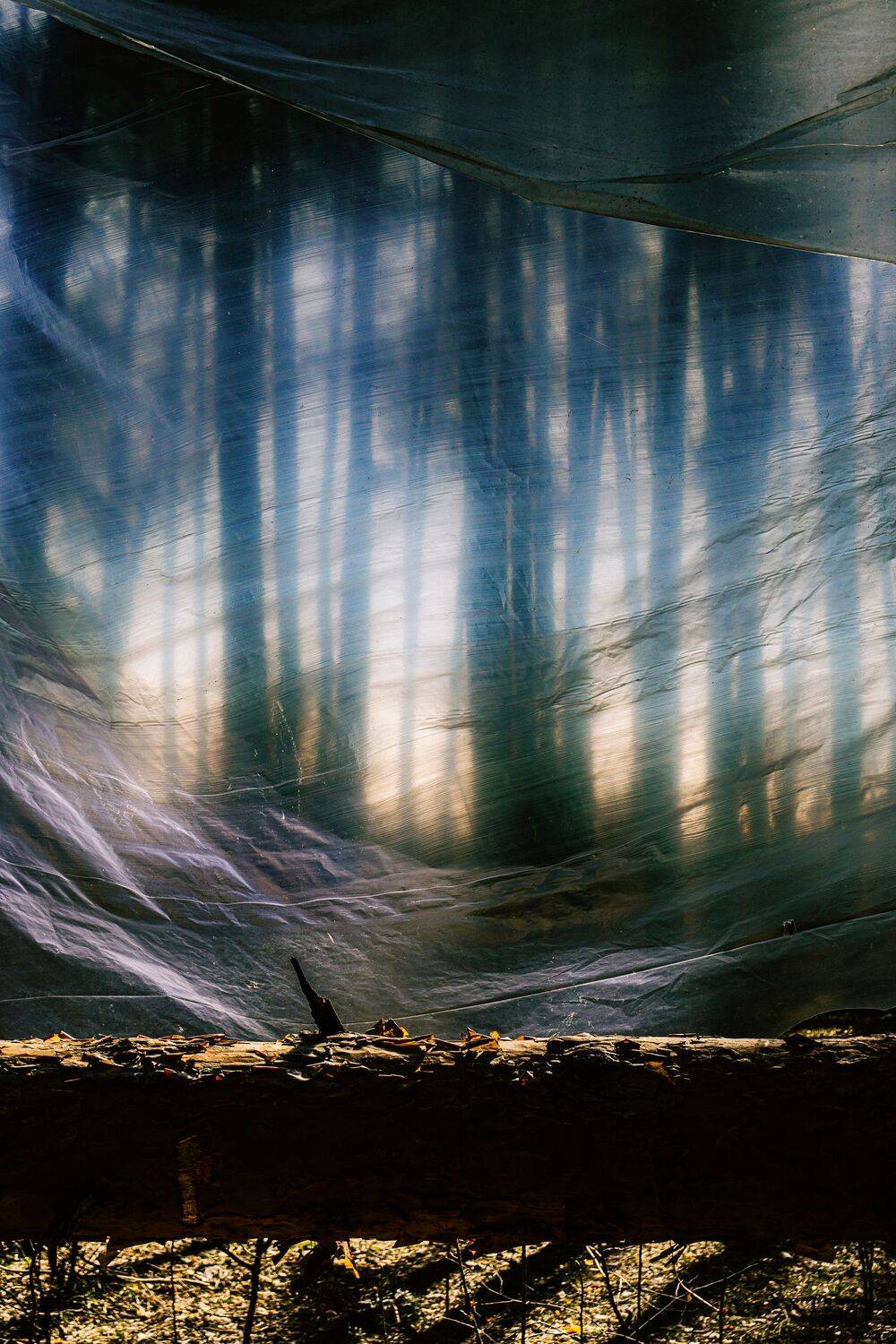 , Вертиков Юрий