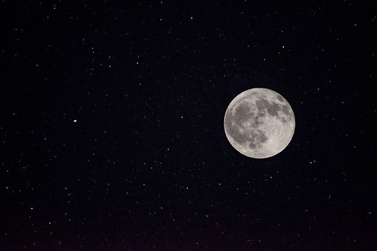 , Сергей Калёв