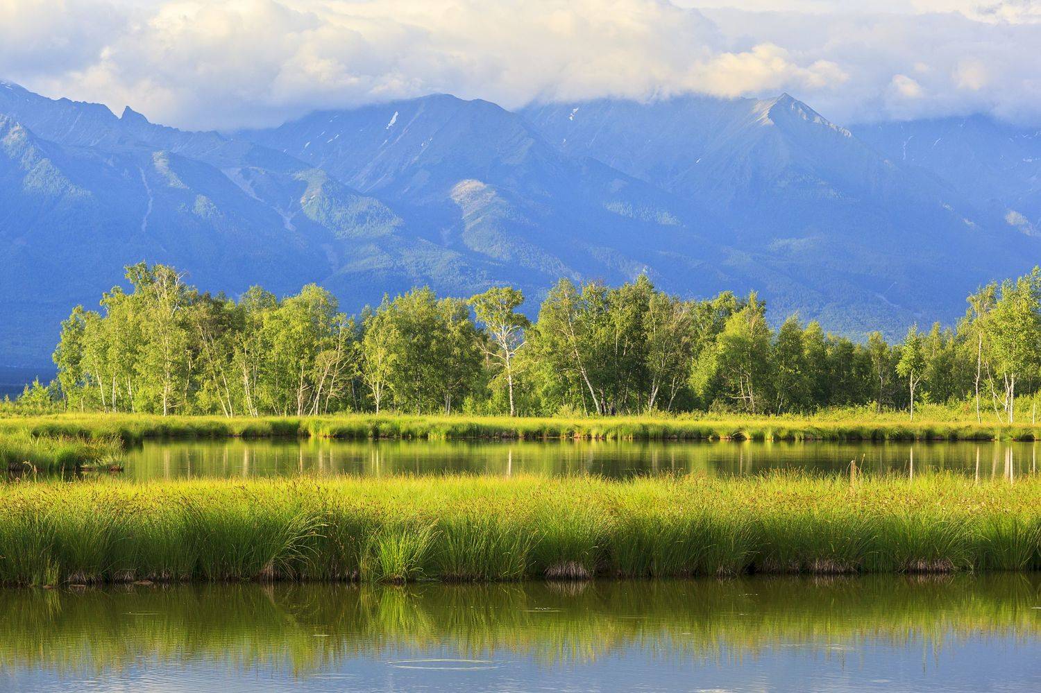 , Байбородин Михаил