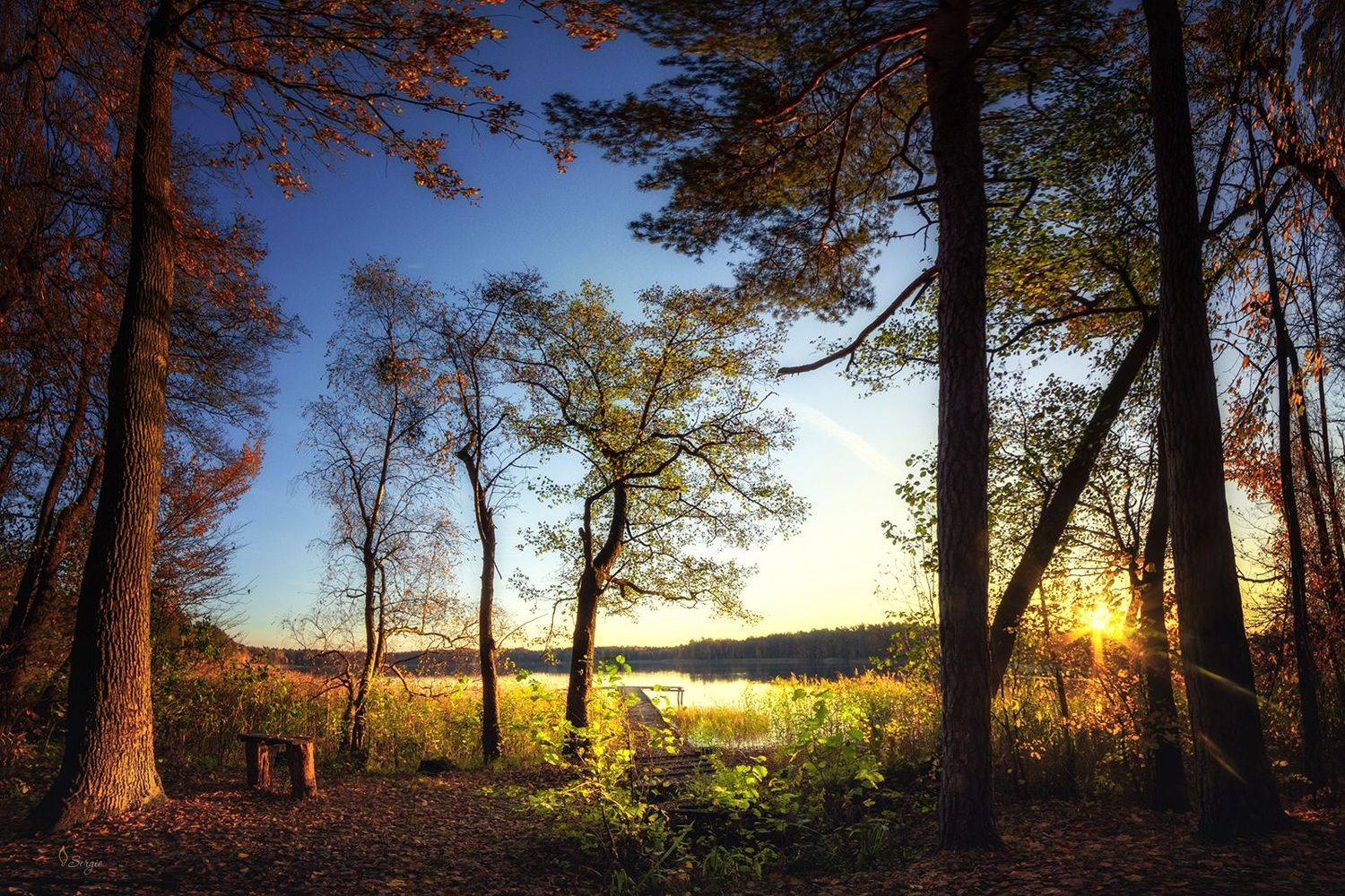 Беларусь, Серж Домбровский