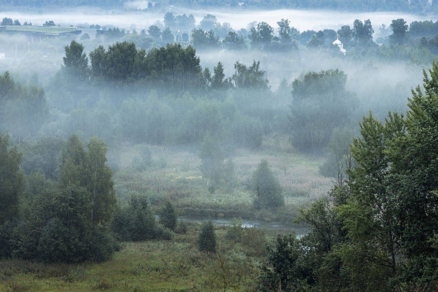 московская, область, Елена Гусева