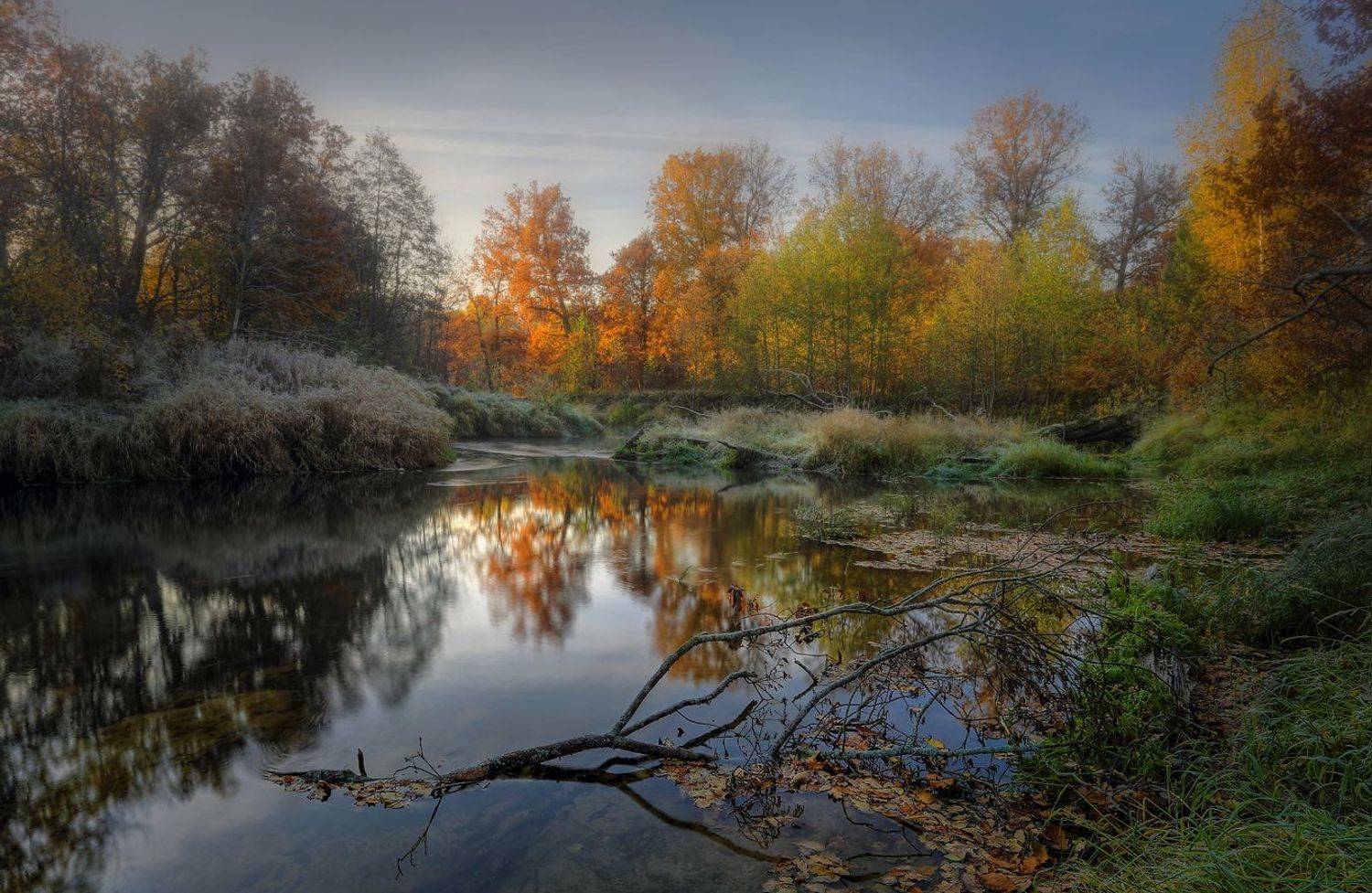 пейзаж Линда природа Нижегородская область, Александр Бархатов