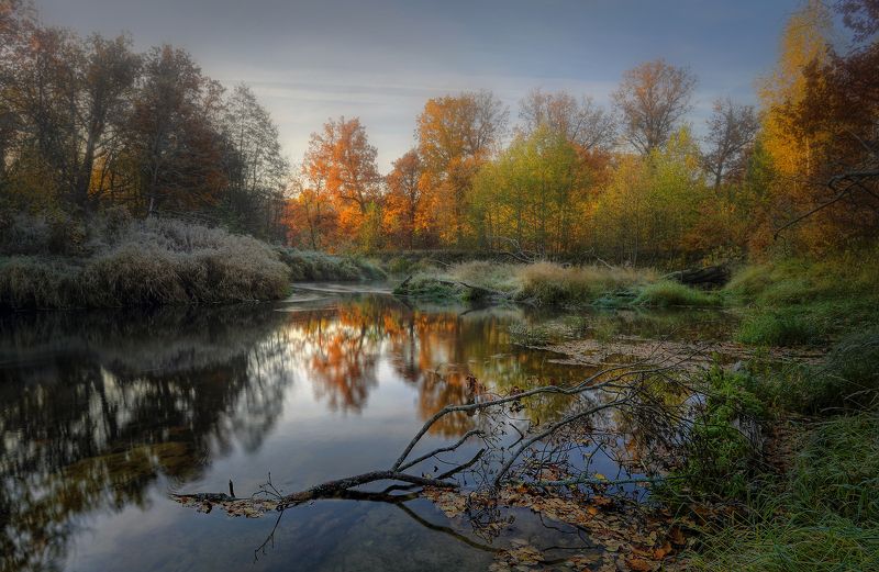пейзаж Линда природа Нижегородская область Краски октября.. фото превью