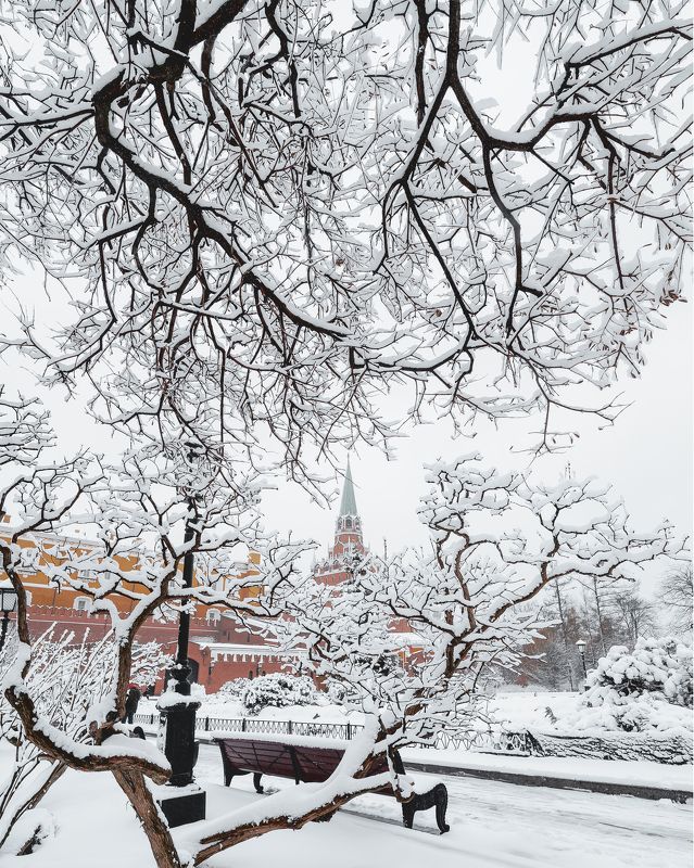 moscow, kremlin, winter, snow, зима, снег, москва, кремль  фото превью