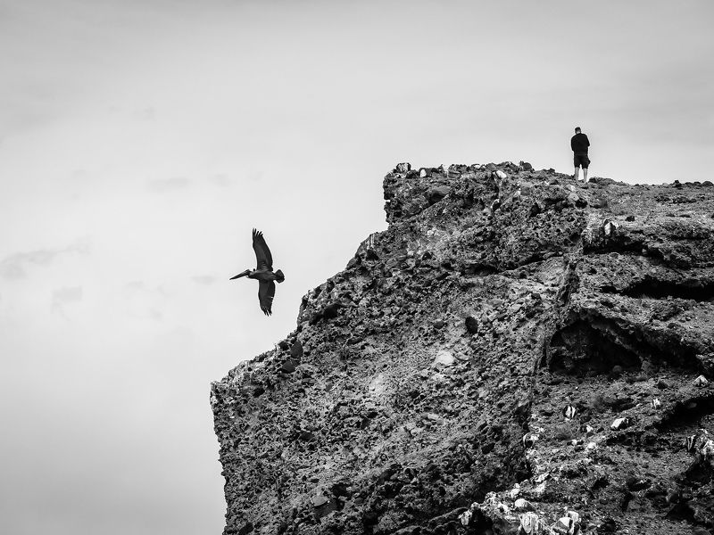 The Cliff фото превью