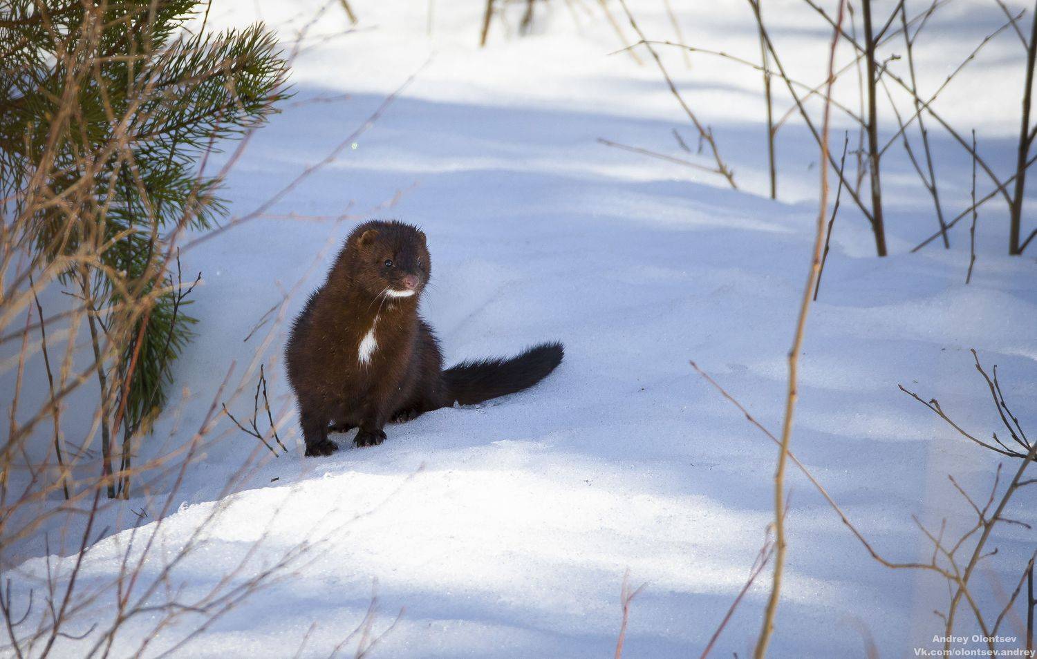 солнце, россия, рассвет, природа, подмосковье, погода, пейзажи, пейзаж, отражение, наукоград, красота, дубна, вода, весна, weather, water, spring, russia, reflection, naukograd, nature, moscow, landscape, dawn, canon, dubna, beauty, Олонцев Андрей