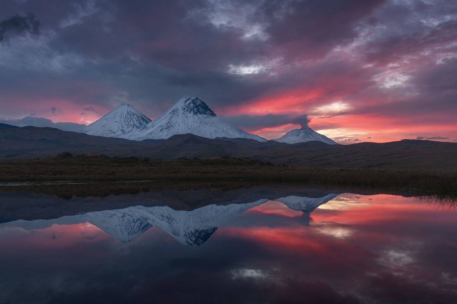 , Политова Анна