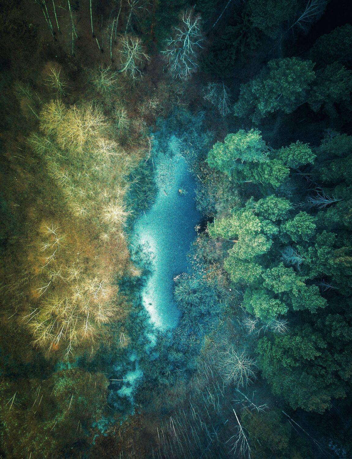 , Сергей Фаренюк