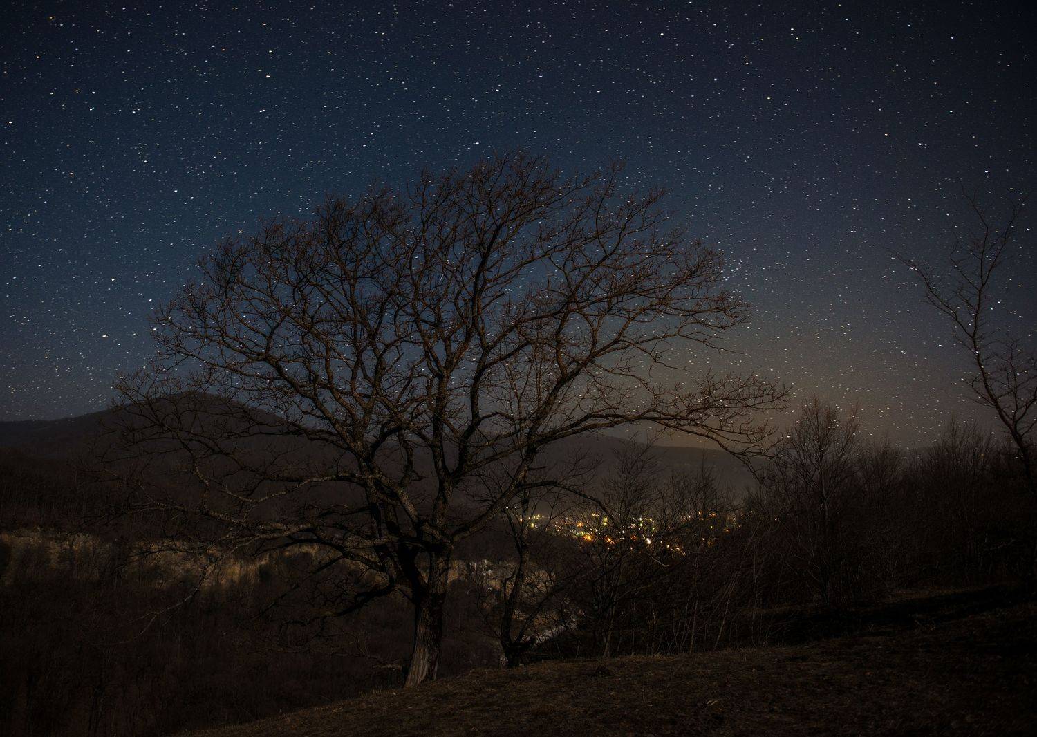 , Дмитрий Величко