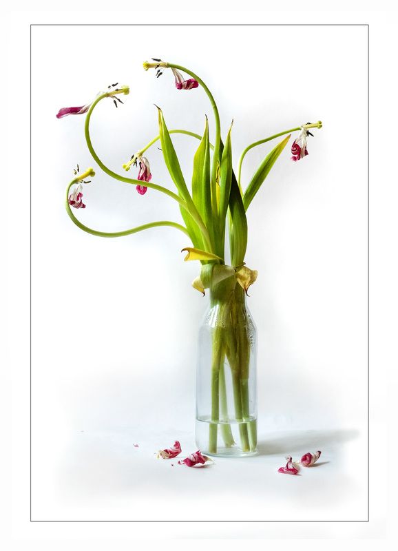 После праздника фото превью