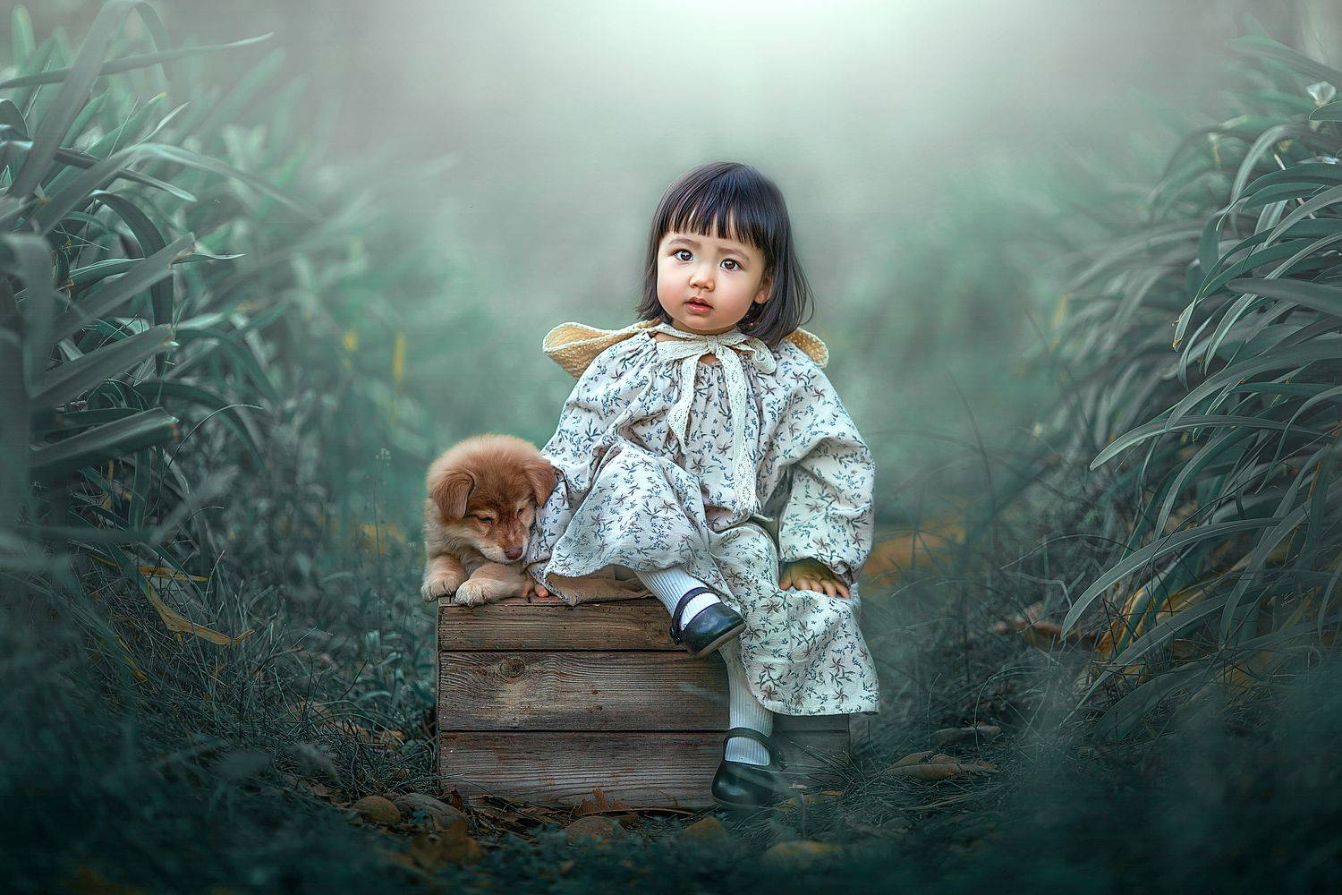 yao wenqi,  姚文琦