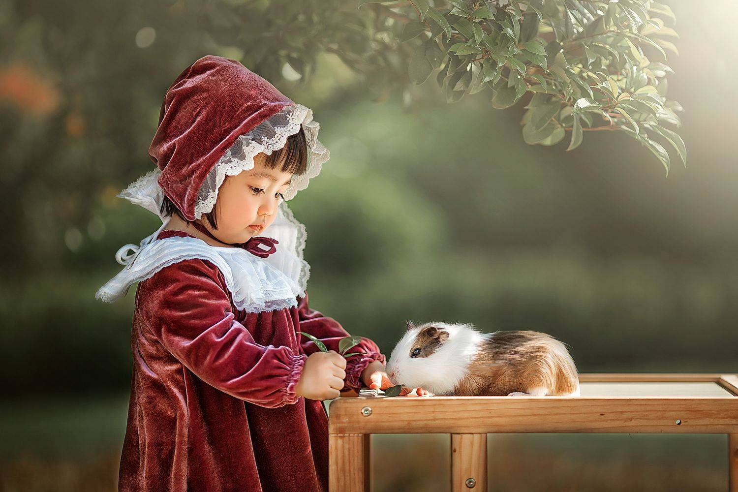 yao wenqi,  姚文琦