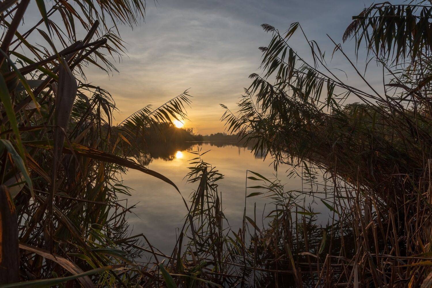 закат, озеро, Алексей Рыльский