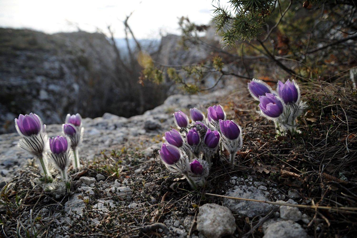 , Дарья Васильева
