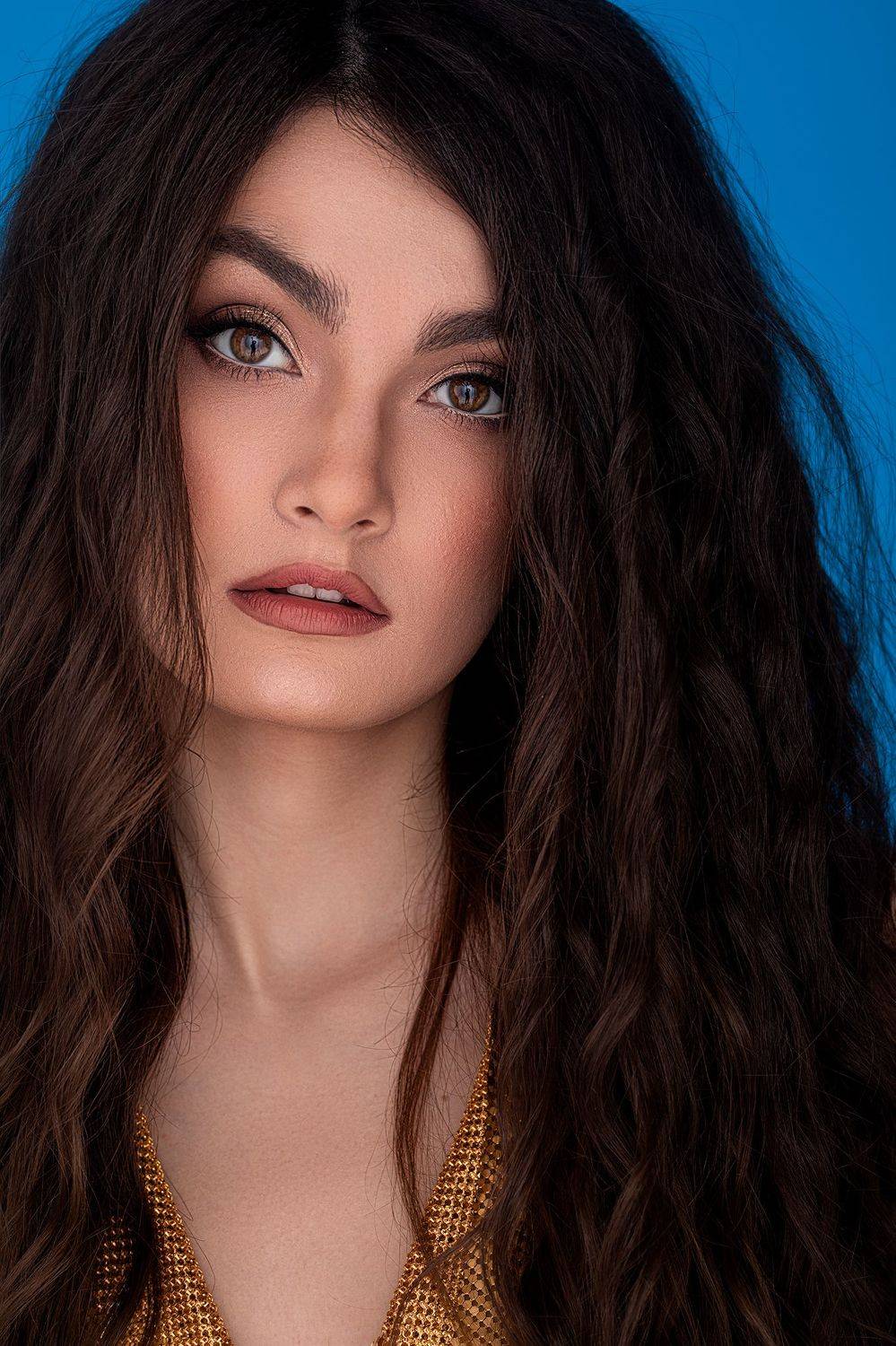 , Шульгин Дмитрий