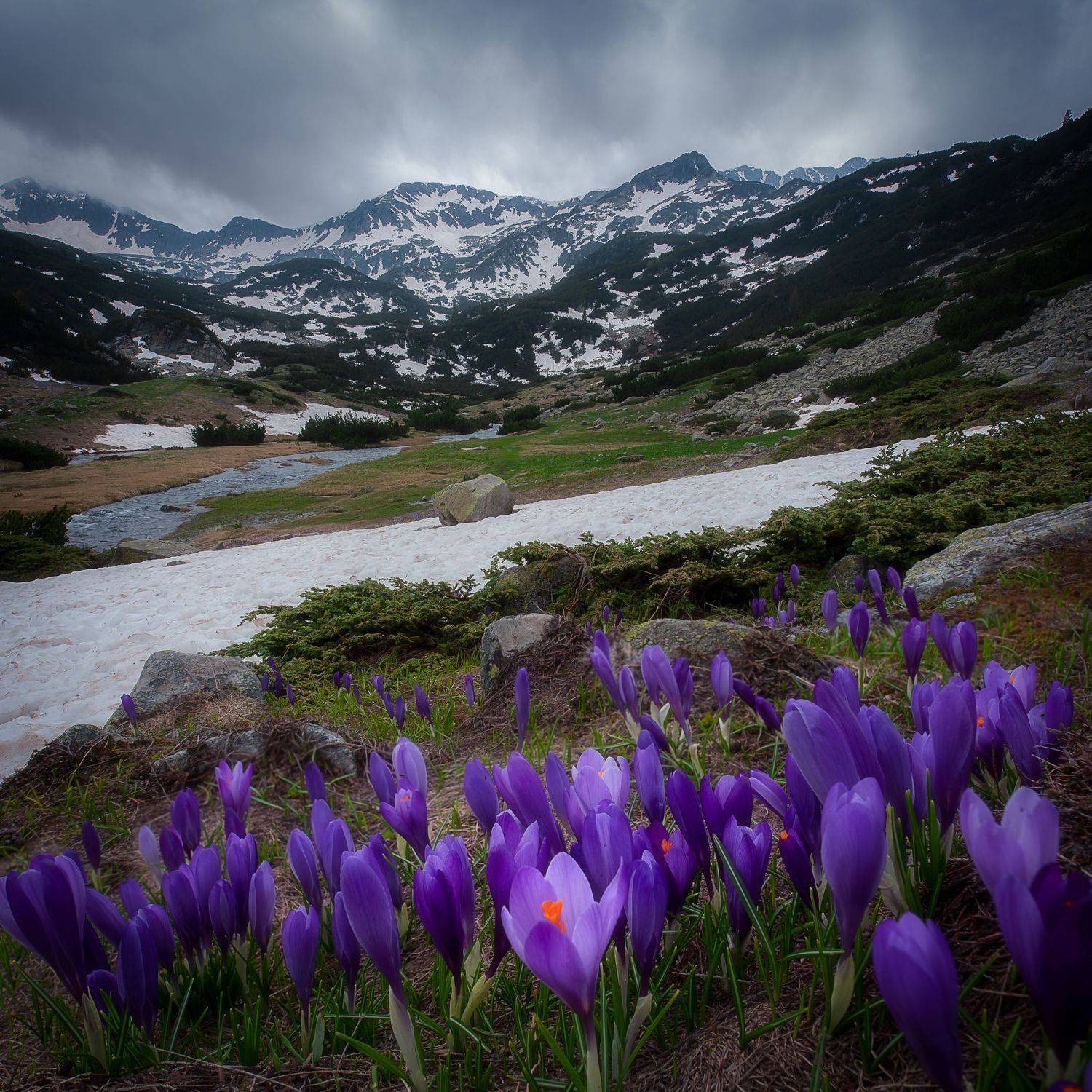 , Mariyana Atanasova - Lucero