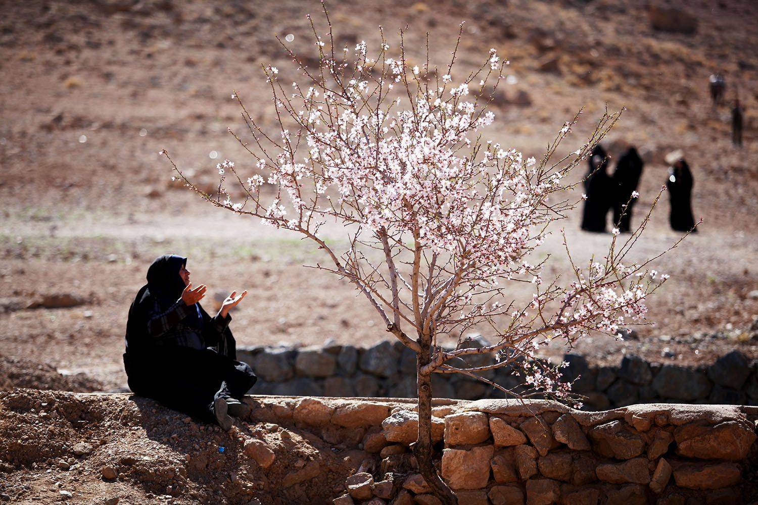 , mehdi karimi souderjani