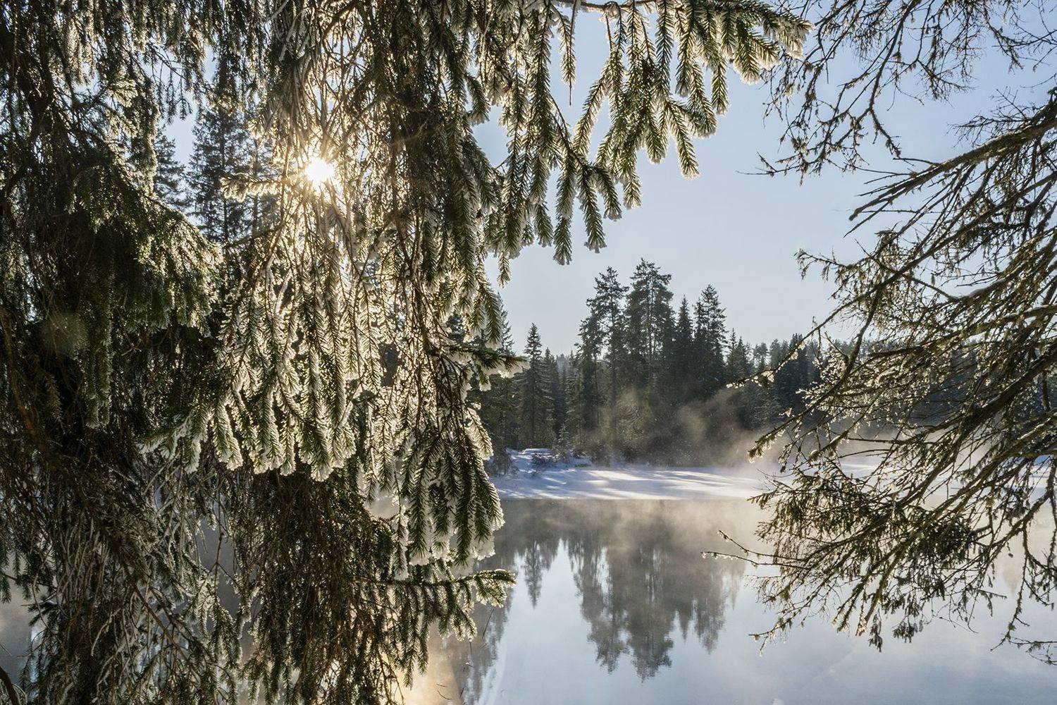 , Галина Луценко