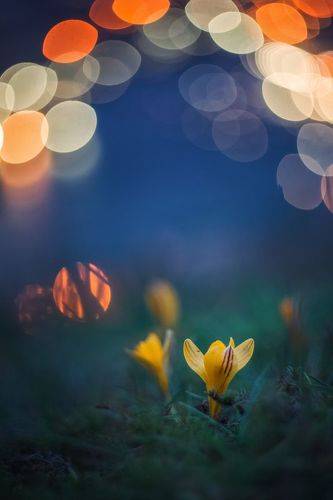 Весеннее ожерелье