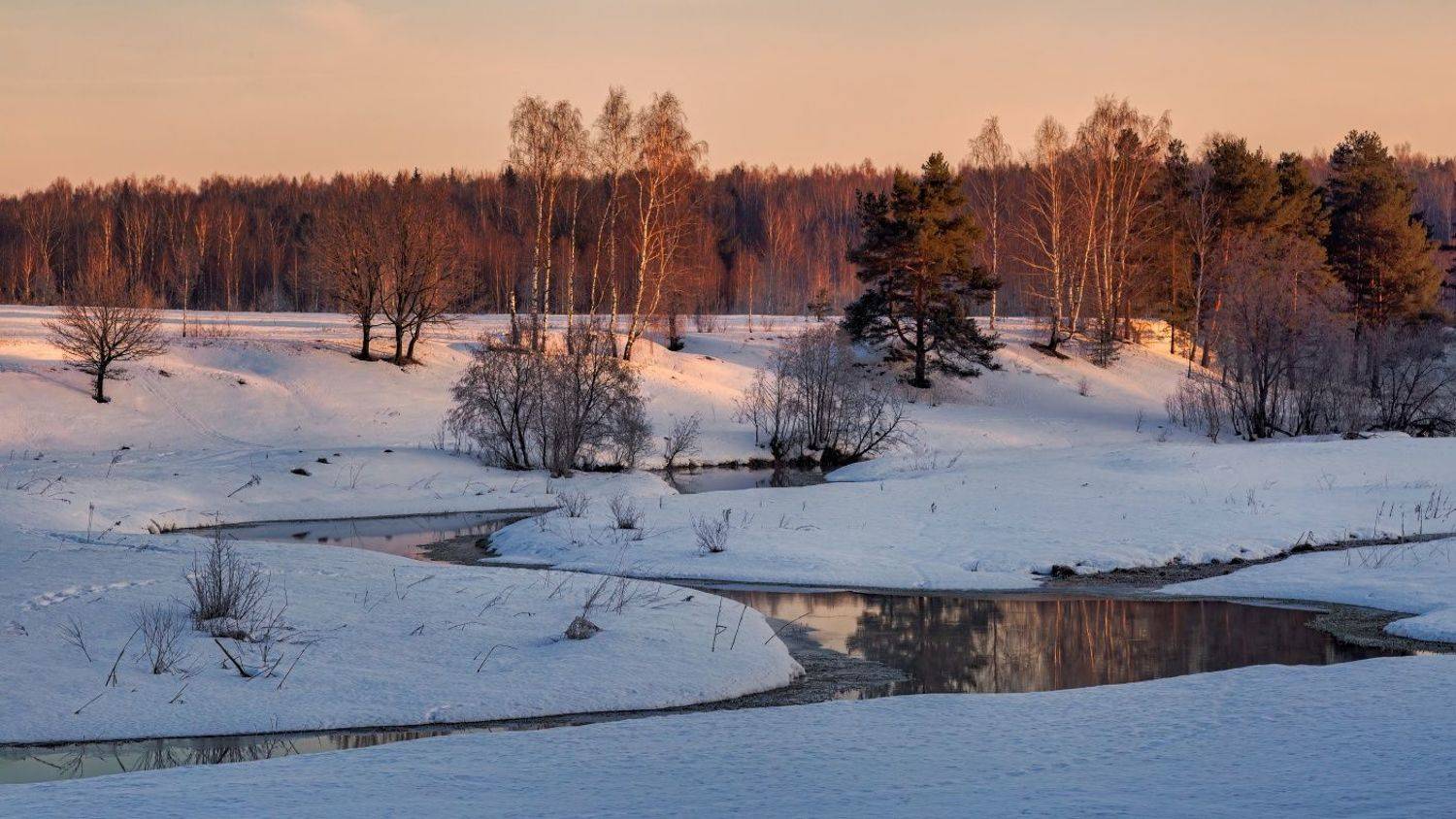 , Евгений Ерохин