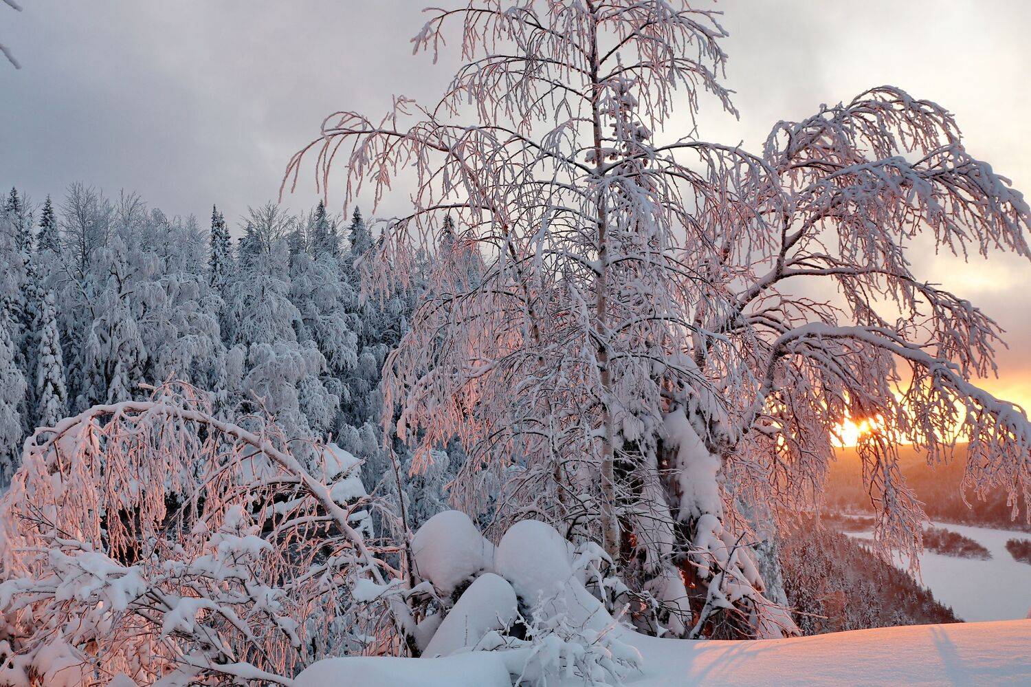 , Добролюбова Тамара