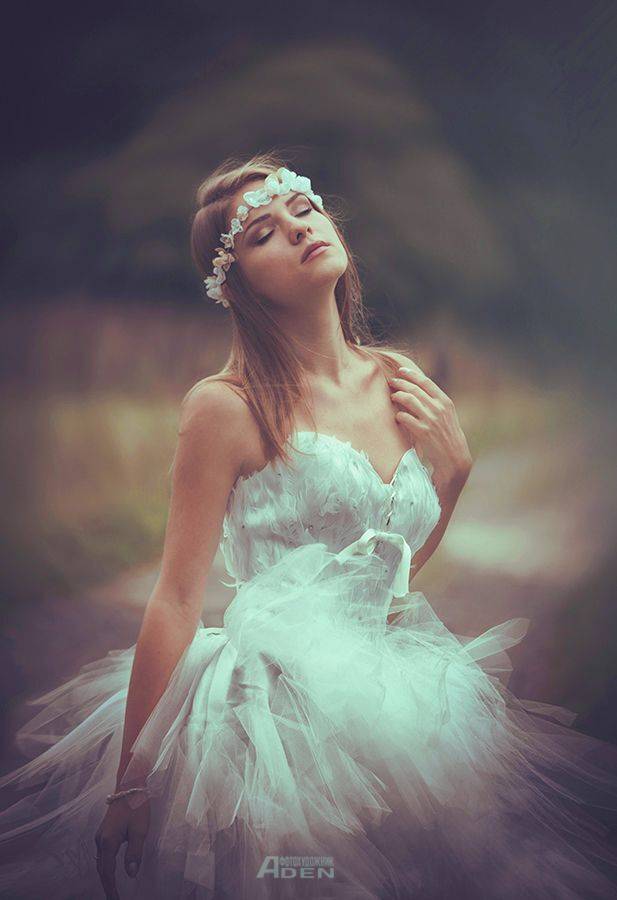 , Алексей Денисов