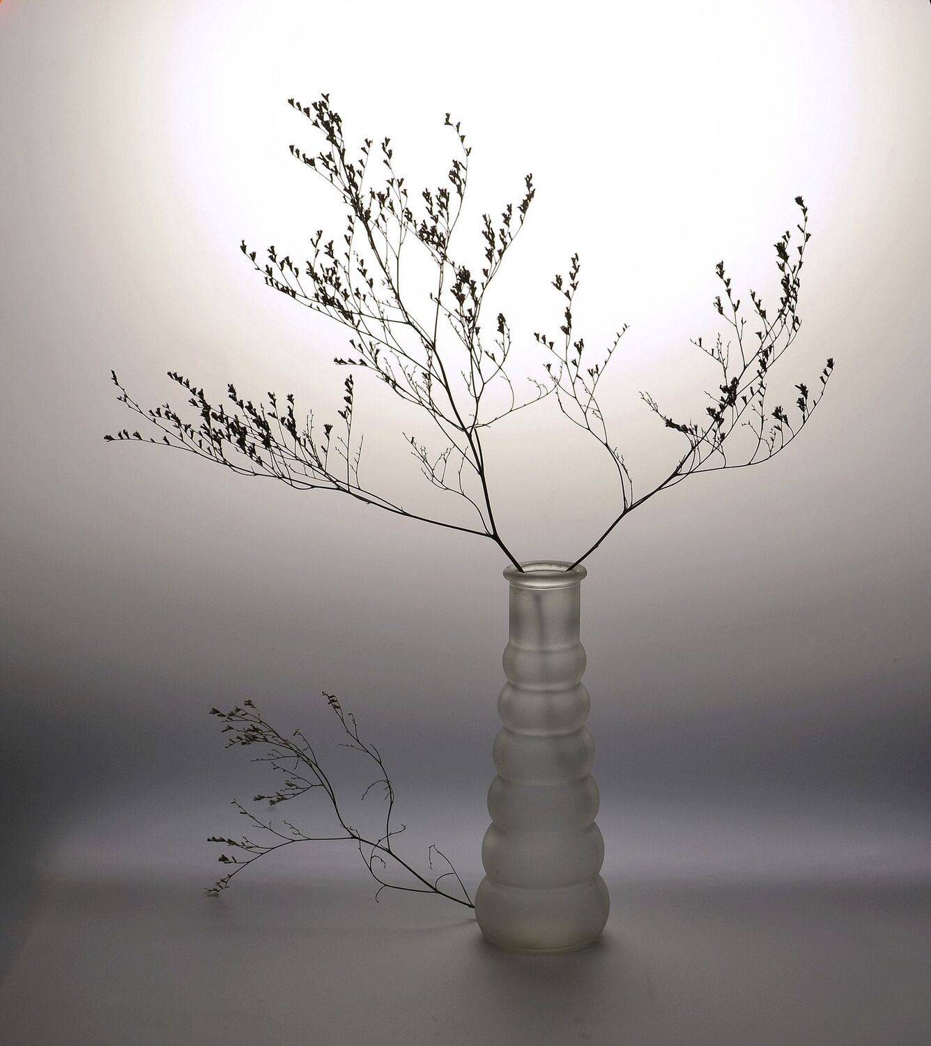 кермек, ваза,свет, Инаида