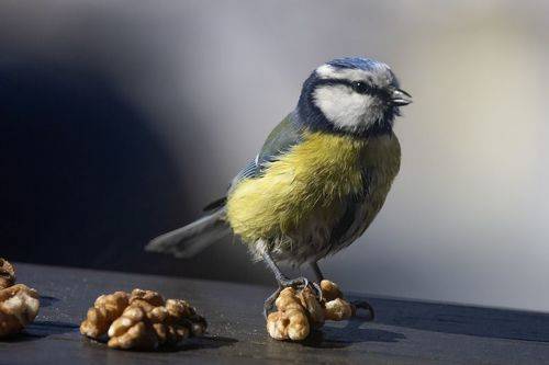 Попробуй отними