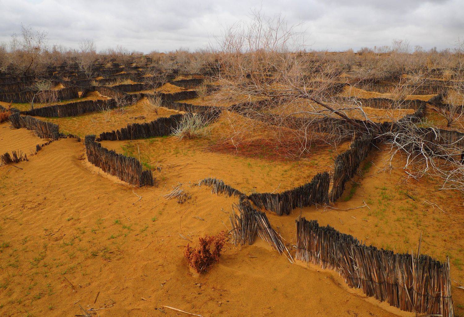 пустыня, ANDREY PERESHEIN
