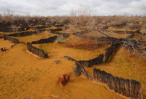 Кызылкум....