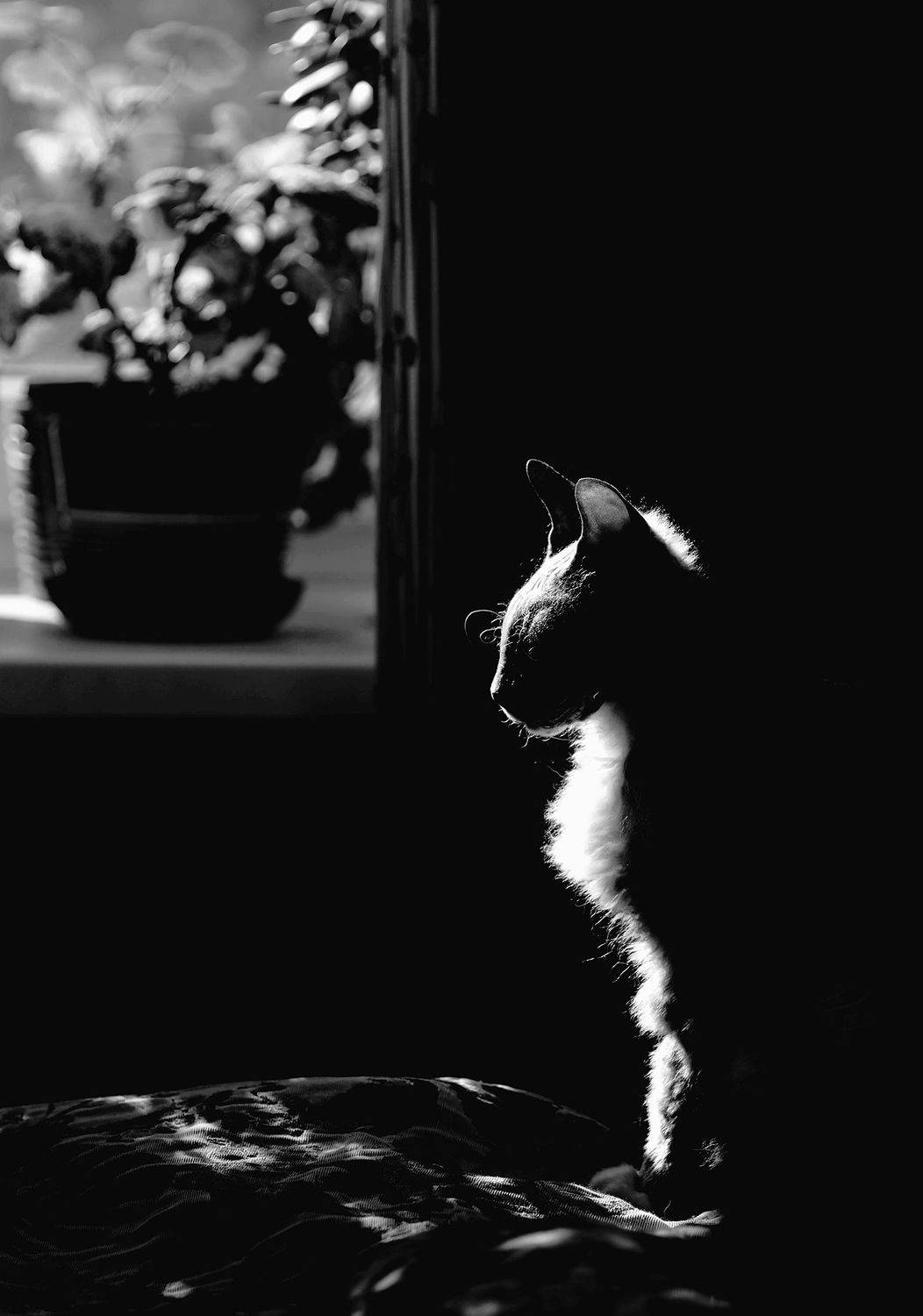 , Павел Мартюшев