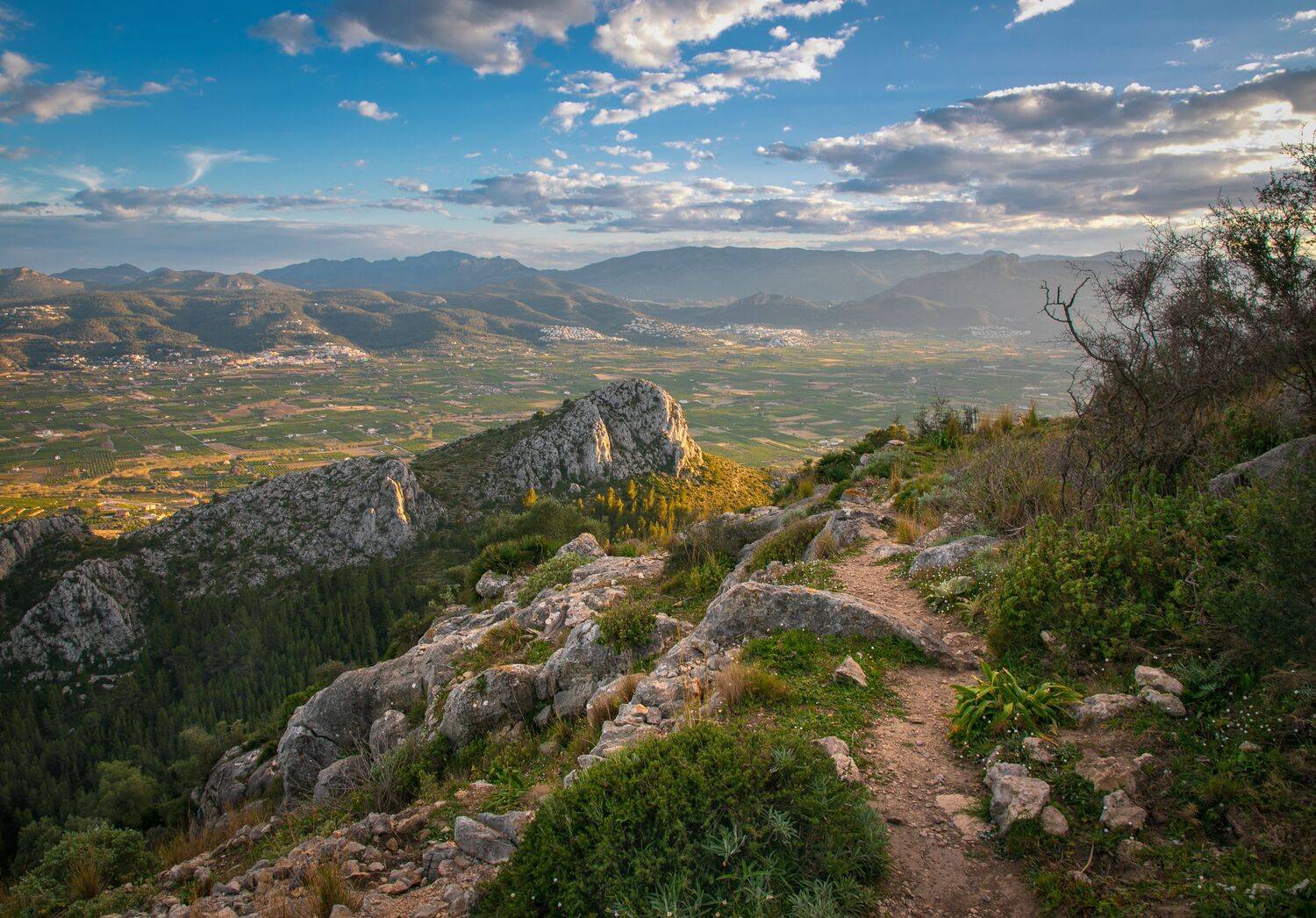 , Алекс Римский