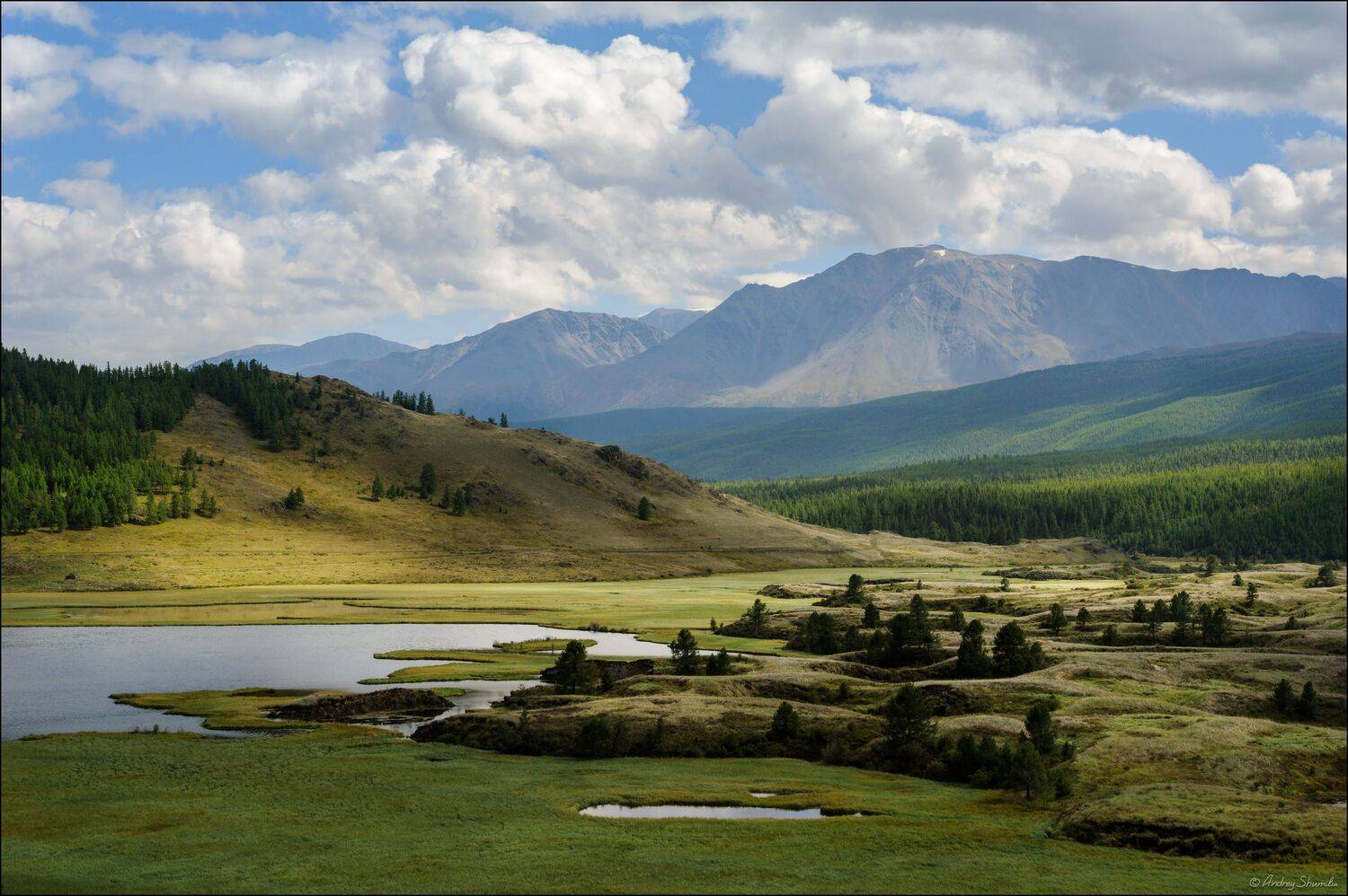 , Андрей Шумилин