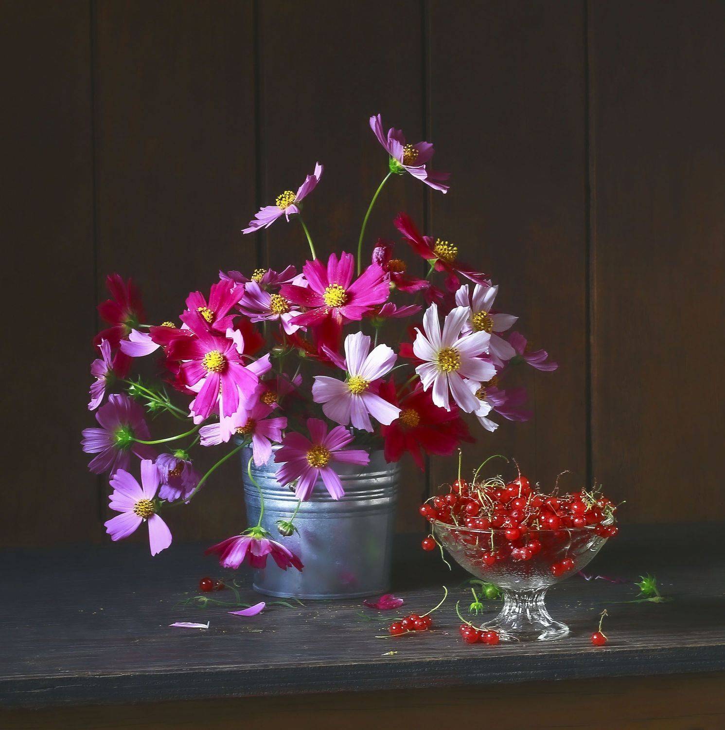 , Наталья Казанцева