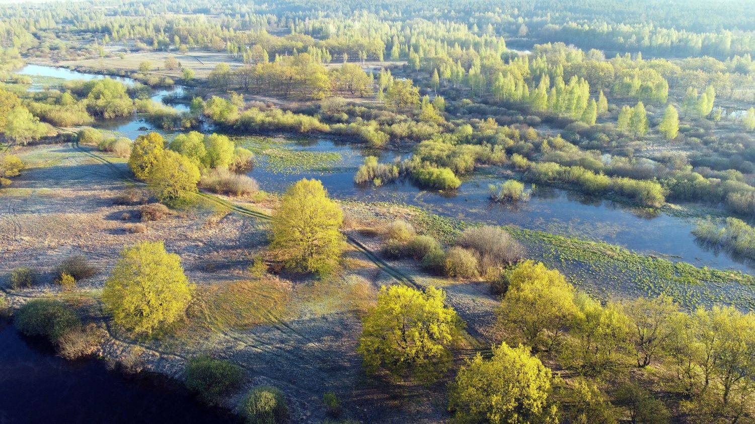 , Сергей Шляга