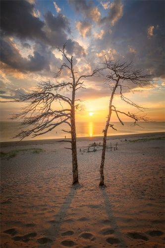 Двое и море...