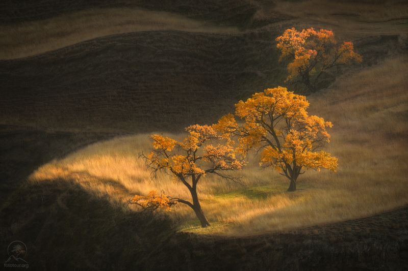 дагестан, террасы, чох, кавказ, фототур на майские праздники, деревья, холмы, фототур в дагестан, дагестанские террасы, гунибский район Изящество форм и линий фото превью