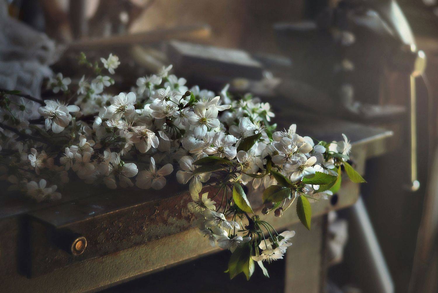 , Буглак Инна