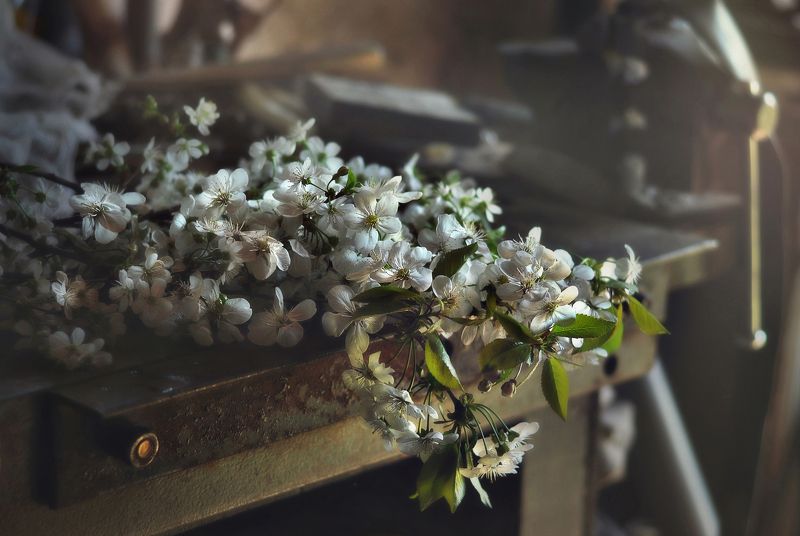 Весна в мастерской фото превью