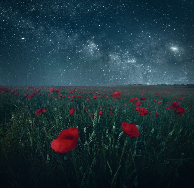 крым, ночной пейзаж, астрофото, маки, пейзаж, тургеневка Ночь в Тургеневке фото превью