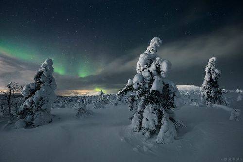 Одной ночью на Волосяной