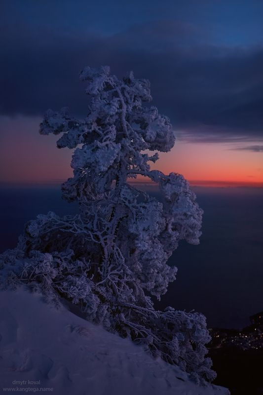 дмитр коваль, гималаи и крым вне треков, пейзаж как магия Стойкость фото превью